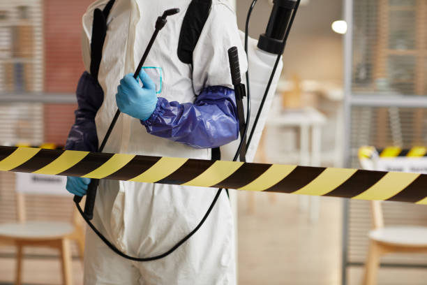 Professional Sewage Cleanup technician working in Rockville, NE